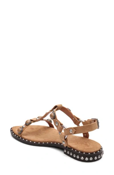 Ash Pebble Stud Embellished Ankle Strap Sandal In Brown