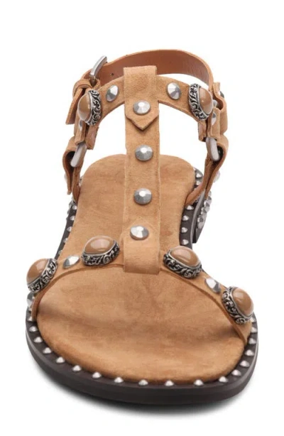 Ash Pebble Stud Embellished Ankle Strap Sandal In Brown