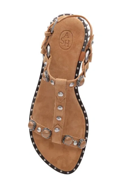 Ash Pebble Stud Embellished Ankle Strap Sandal In Brown