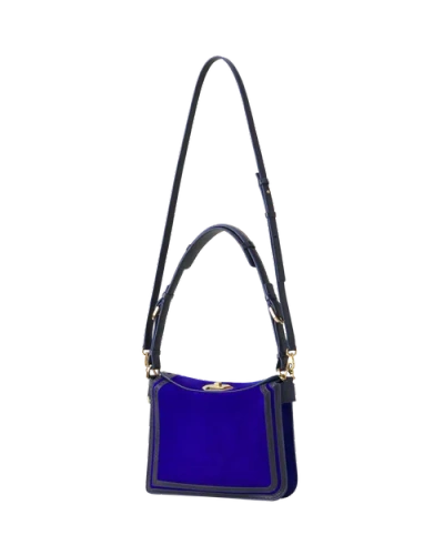 Lanvin Compagnon Small Asymmetrical Bag In Python Finishing