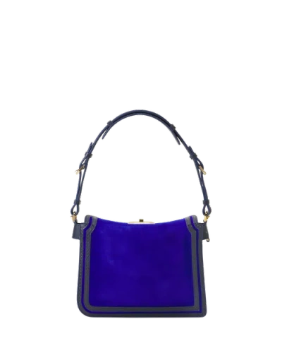 Lanvin Compagnon Small Asymmetrical Bag In Python Finishing