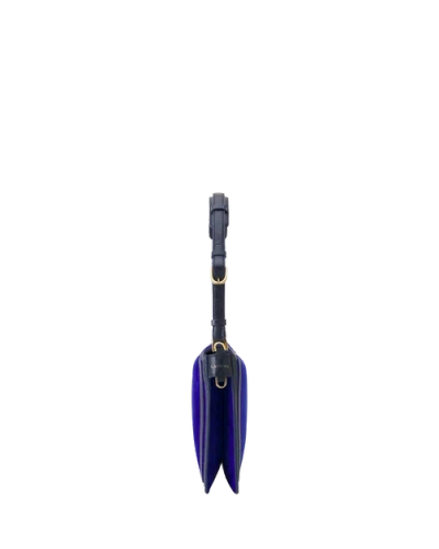 Lanvin Compagnon Small Asymmetrical Bag In Python Finishing