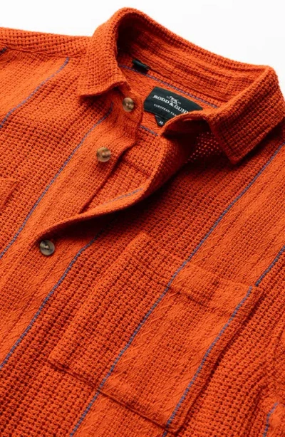 Rodd & Gunn Point Break Regular Fit Short Sleeve Shirt In Orange