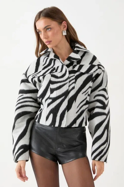 Misspap Zebra Cropped Collared Jacket In Multi