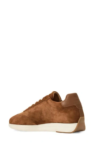 Aquatalia Rea Sneaker In Brown