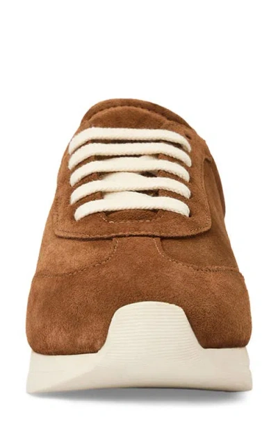 Aquatalia Rea Sneaker In Brown