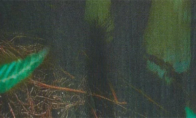 Dressed In Lala Dressed In Green