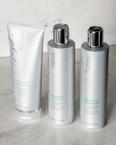 Kenra Platinum Restorative Reconstructor 6 oz