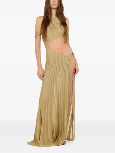 Roberto Cavalli Long Sheer Gold Dress With Cut-outs In Nude