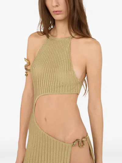 Roberto Cavalli Long Sheer Gold Dress With Cut-outs In Nude