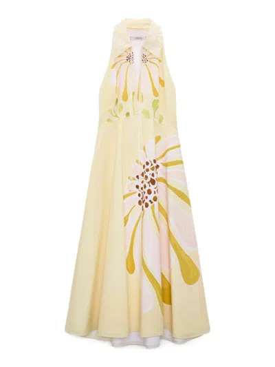 Dorothee Schumacher Floral Power Floral Cotton-blend Midi Dress In Neutral