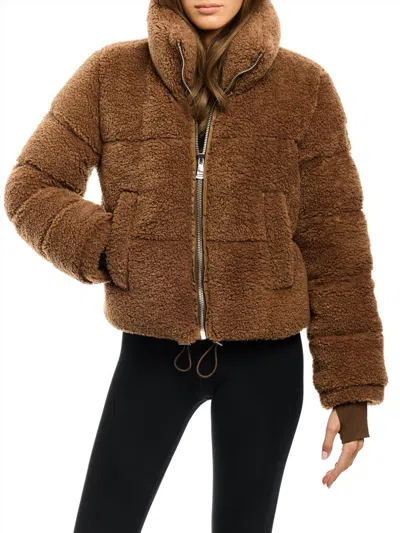 Sam Gemma Jacket In Brown