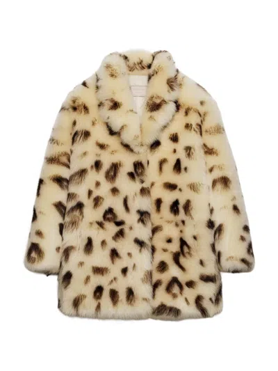 Prada Leopard-print Shearling Coat In Multi