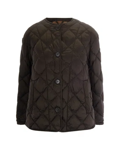 Max Mara The Cube Giubbino Trapuntato Verde In Brown