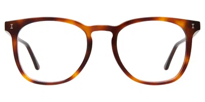 Illesteva Essex Optical In Havana / Optical