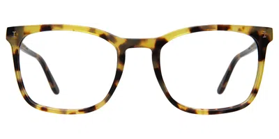 Illesteva Greg Optical In Tortoise / Optical