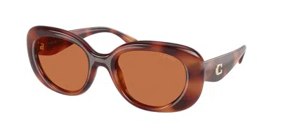 Coach Brown Oval Ladies Sunglasses Hc8391u 577473 53