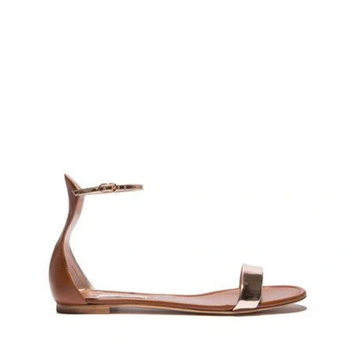 Shop Casadei Daytime In Cuoio And Tan