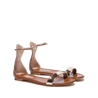 Shop Casadei Daytime In Cuoio And Tan