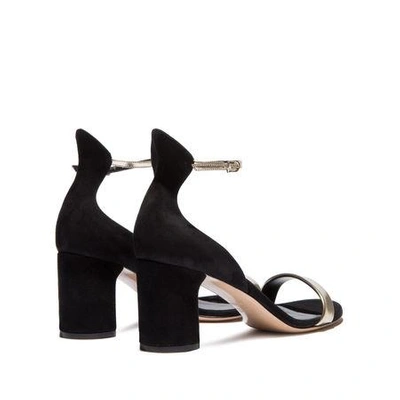 Shop Casadei Evening In Black And Pale Gold