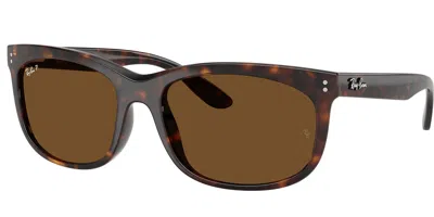 Ray Ban Sunglasses In Brown