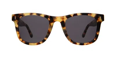 Illesteva James Sunglasses In Tortoise / Grey