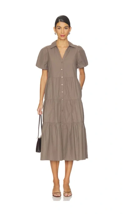 Brochu Walker The Havana Dress In Brown