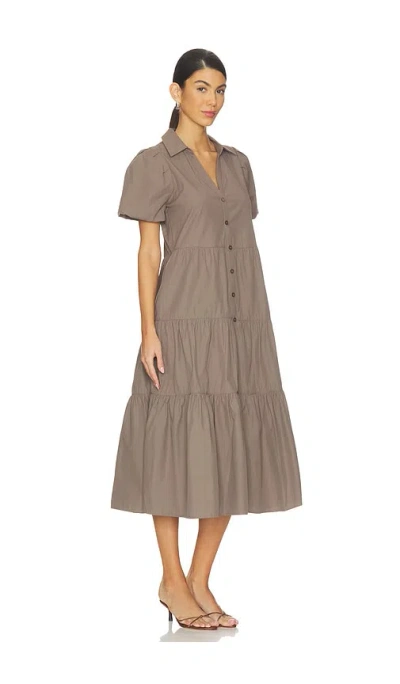 Brochu Walker The Havana Dress In Brown