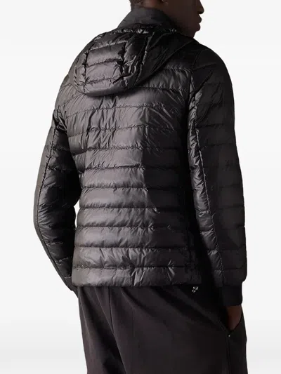 Moose Knuckles Cloud Walker Air Down Jacket In Black
