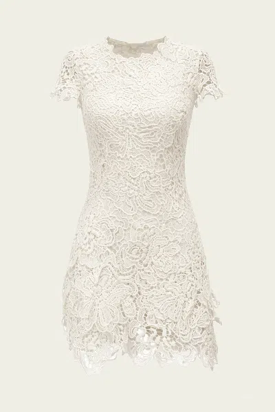 Simkhai Novelle Lace Mini Dress In White