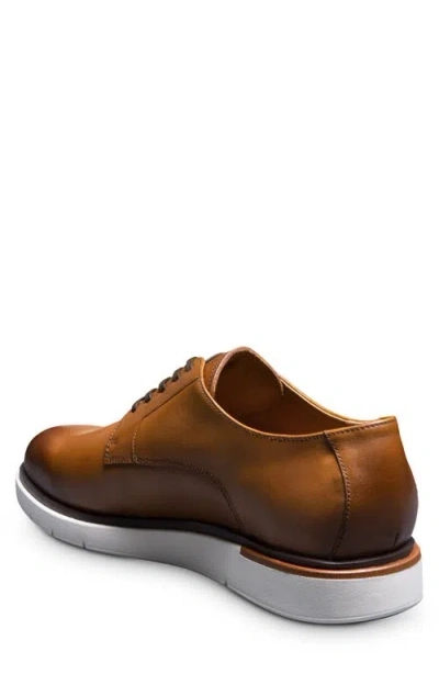 Allen Edmonds Carson Derby In Brown