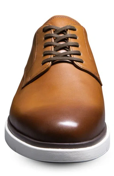 Allen Edmonds Carson Derby In Brown