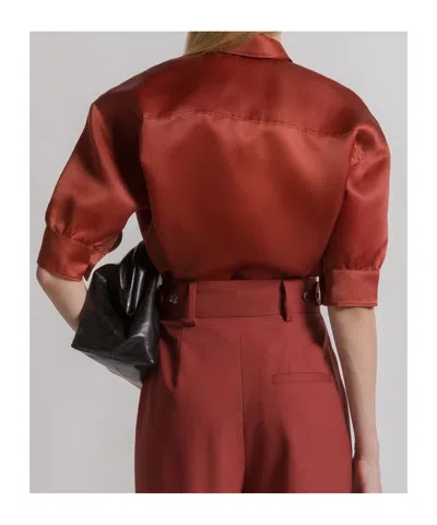Alberta Ferretti Silk Organza Blouse In Brown