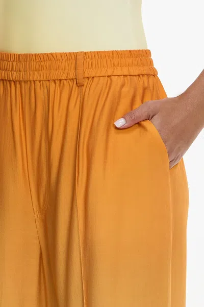 Significant Other Bennet Pant In Multi