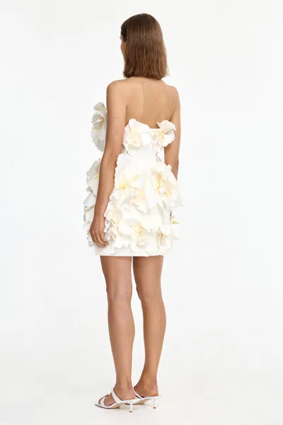 Acler Jackhill Floral Mini Dress In White