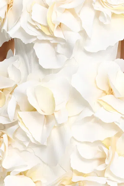 Acler Jackhill Floral Mini Dress In White