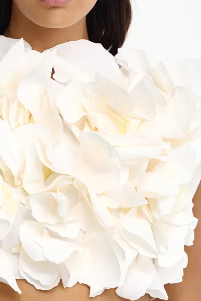 Acler Jackhill Floral Top In Neutral