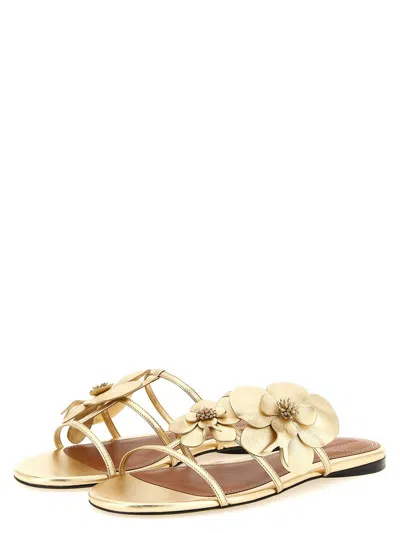 Zimmermann Orchid Flat Sandal Metallic Straps Floral In Gold