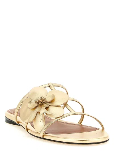 Zimmermann Orchid Flat Sandal Metallic Straps Floral In Gold