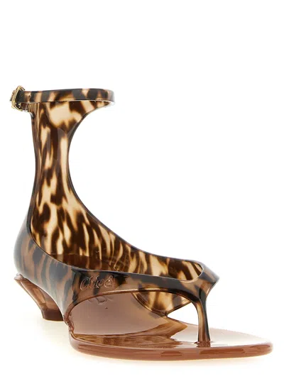 Chloé Jelly Flip-flop Sandals Tropical Print Shell Heel
