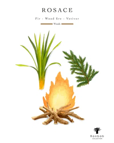 Baobab Collection Rosace Candle In Multi