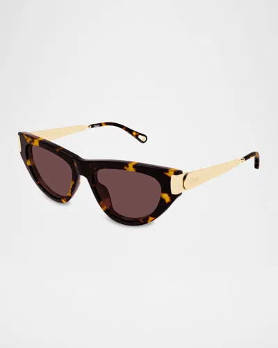 Chloé Eyewear Cat-eye Frame Sunglasses In Brown