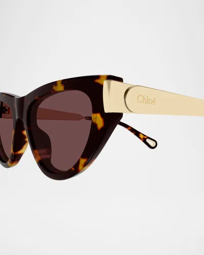 Chloé Eyewear Cat-eye Frame Sunglasses In Brown