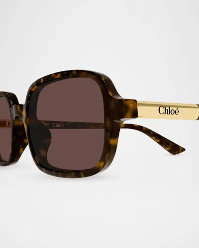 Chloé 53mm Acetate Rectangular Sunglasses In Brown