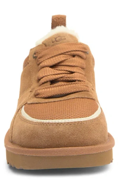 Ugg ® Sungazer Sneaker In Brown