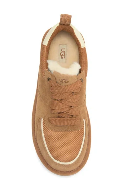Ugg ® Sungazer Sneaker In Brown