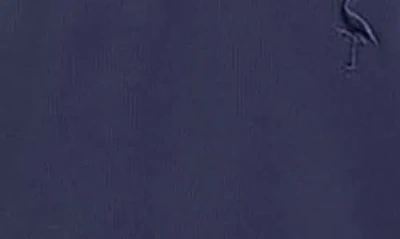 Tailorbyrd Kids' Micro Grid Textured Pullover In Blue