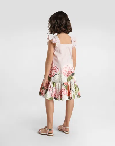 Dolce & Gabbana Hydrangea-print Striped Cotton Canvas Dress In Multi