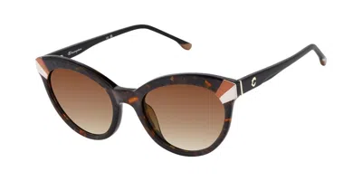 Champion Betty Polarized C01 Occhiali Da Sole Marroni Per Donna In Black