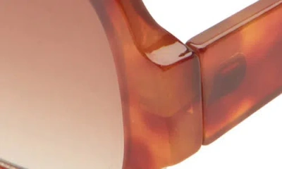 Bp. Shield Sunglasses In Brown